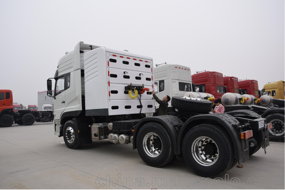 Tipo resistente chimico camion dei camion RHD di Cng di consegna del carico