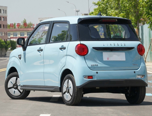 Mano sinistra di LINGBOX che determina la gamma di azionamento delle porte 140km di Mini Suv Electric 5